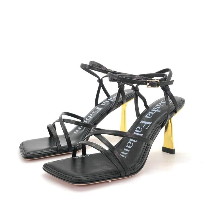 Sasha Fabiani