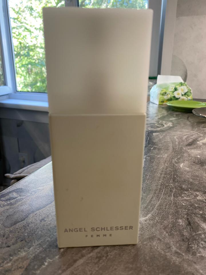 ANGEL SCHLESSER