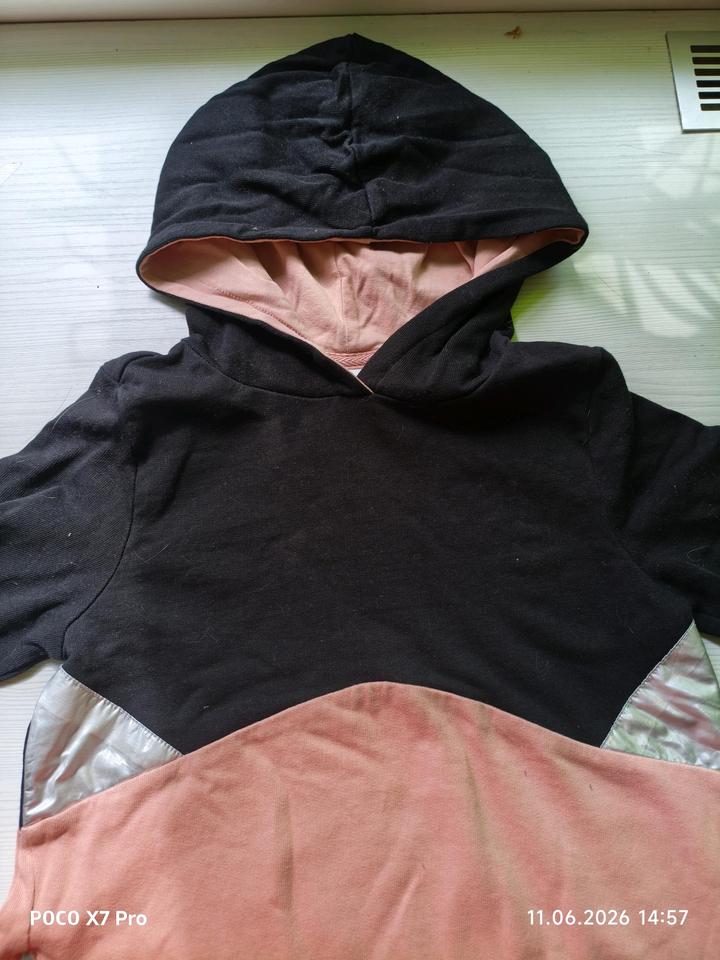coccodrillo