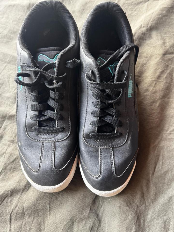 Puma