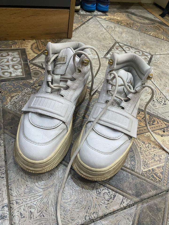 Puma