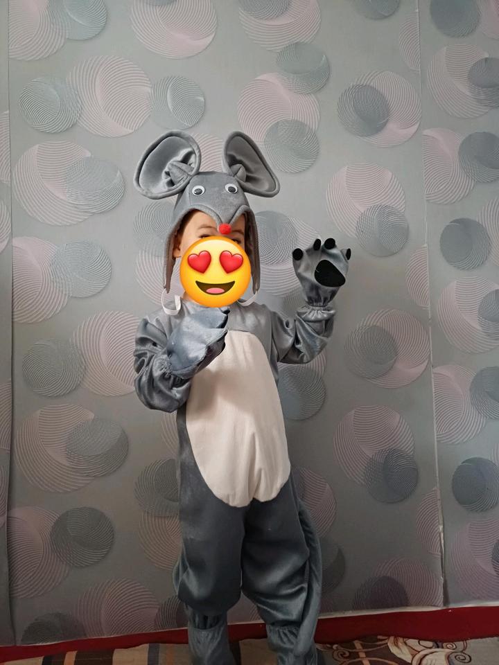 Мышь жаңа жылдық костюм