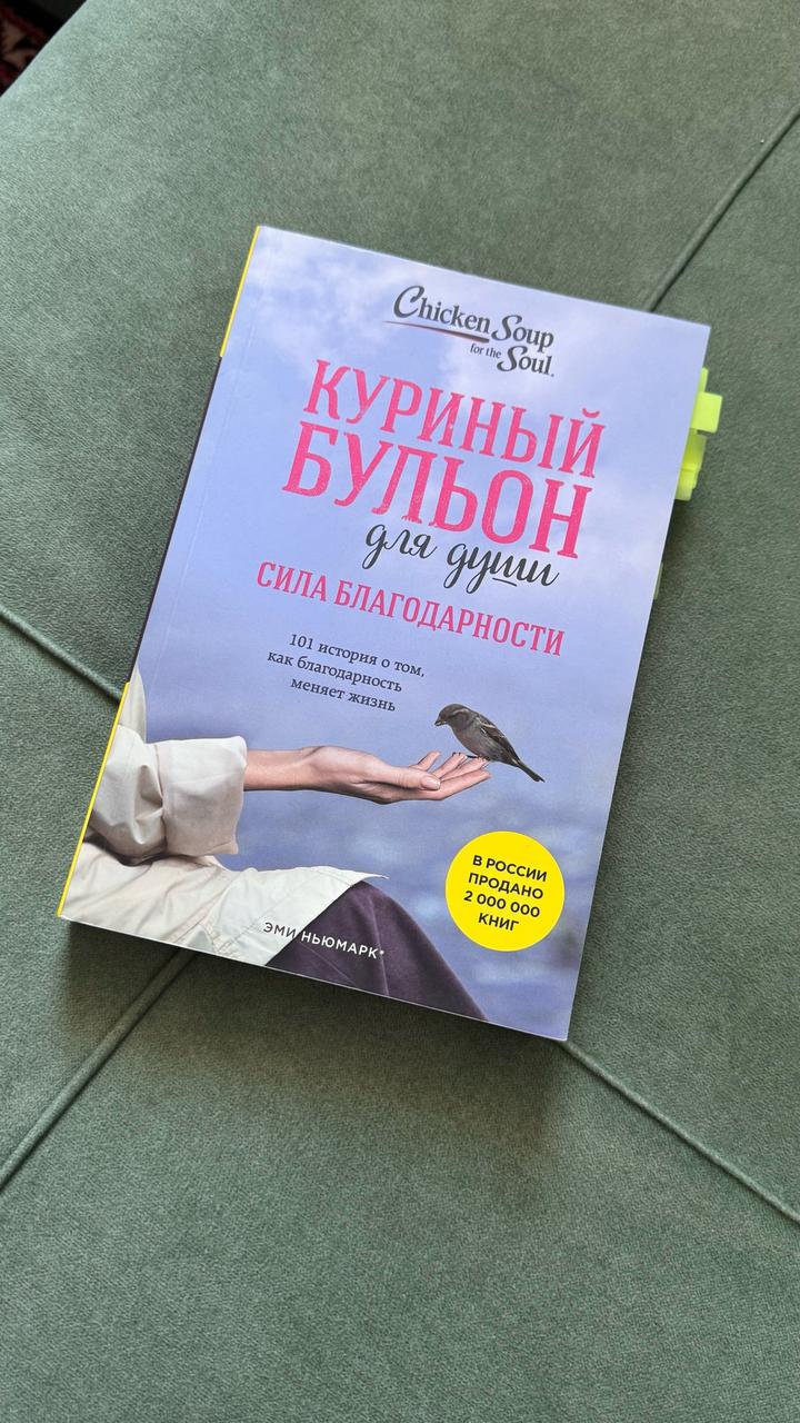 Куриный бульон для души. Сила благодарности