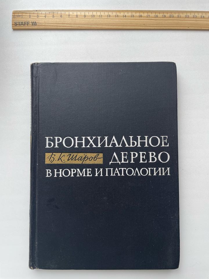 Бронхиальное дерево в норме и патологии