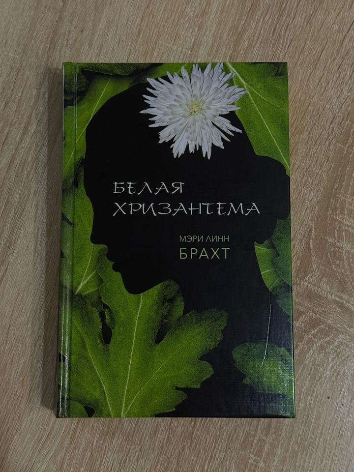 Белая хризантема