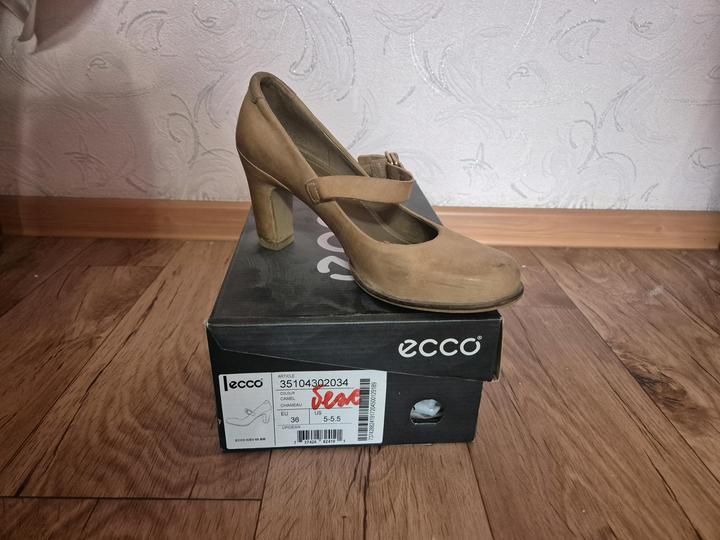 ECCO