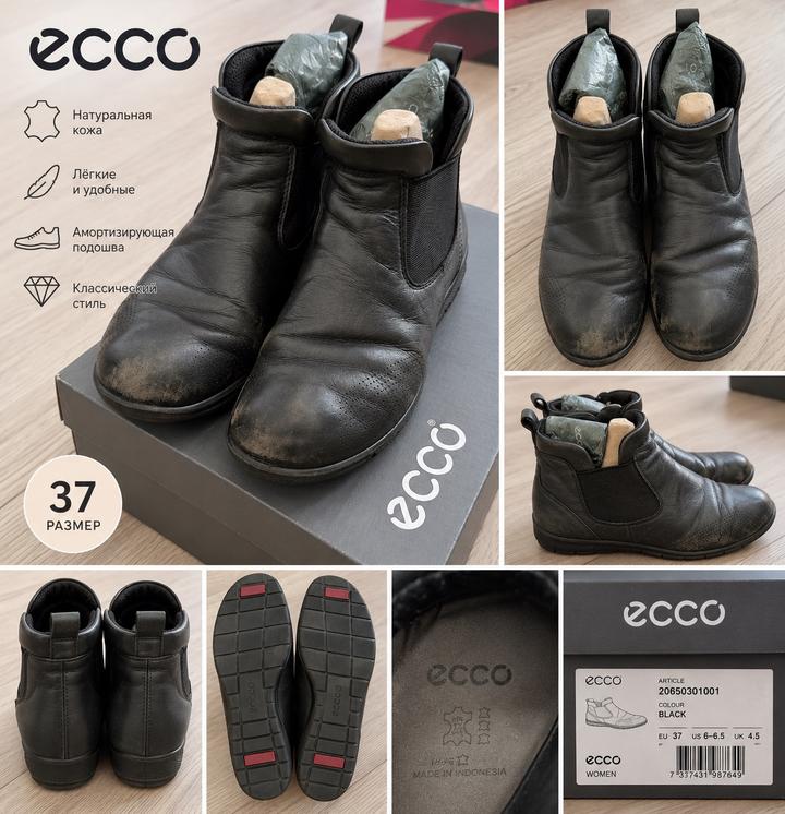 ECCO