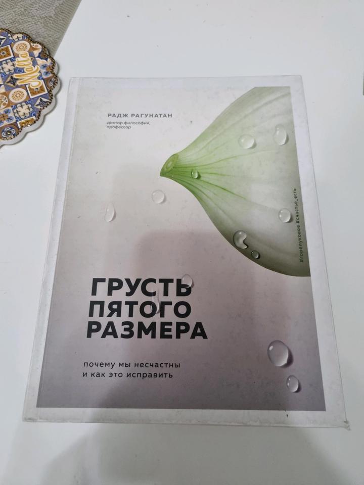 Книга Радж Рагунатан Грусть пятого размера