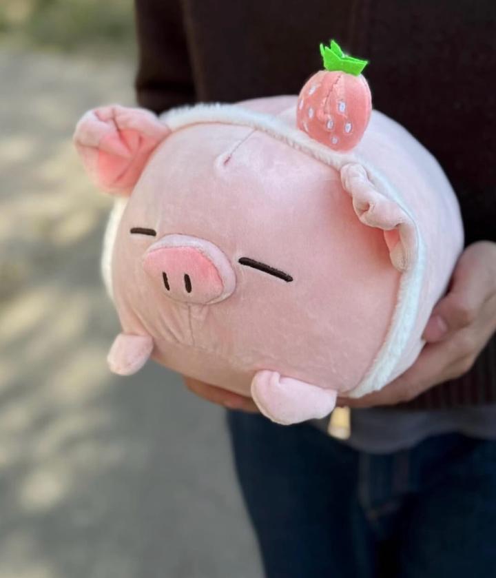 Мягкая игрушка