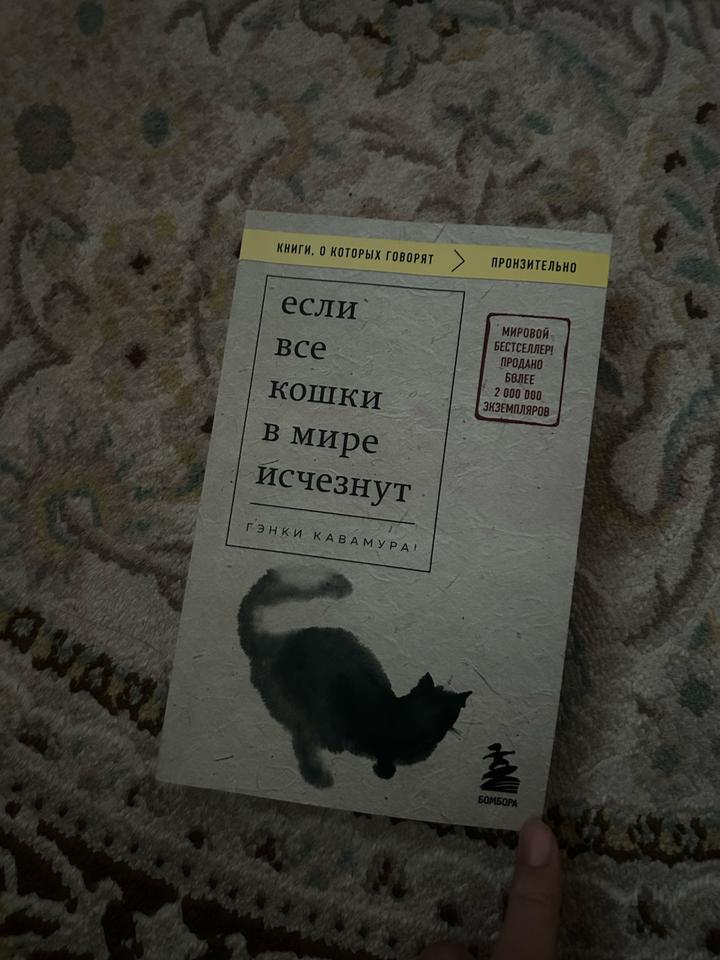 Если все кошки в мире исчезнут