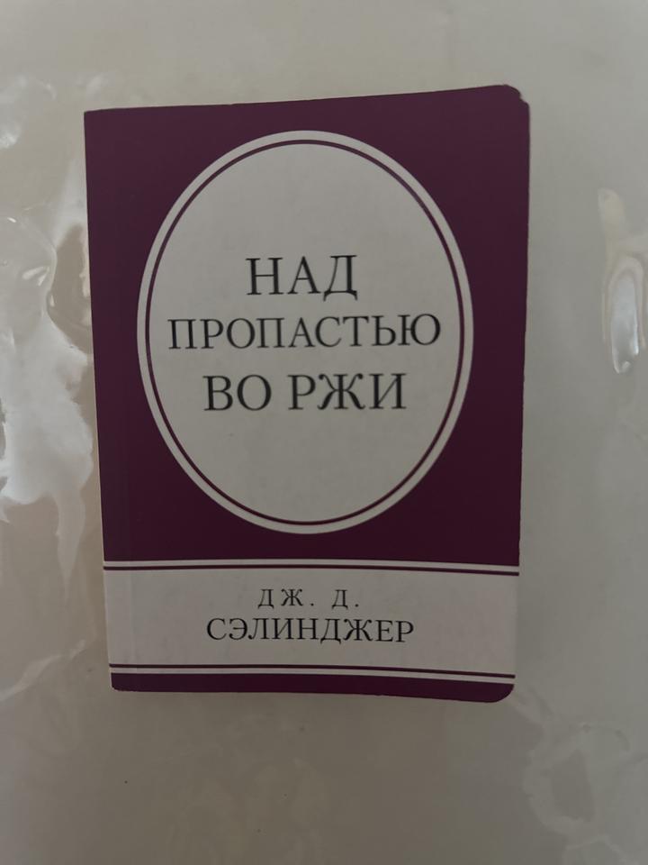 Над пропастью во ржи