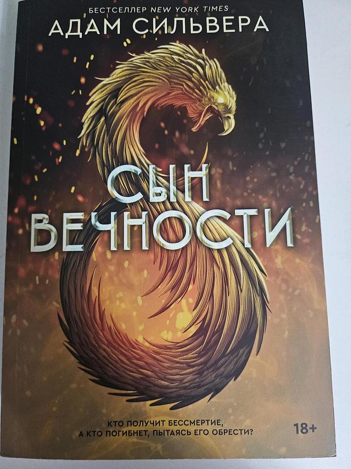 Сын вечности Фэнтези Адам Сильвера книга