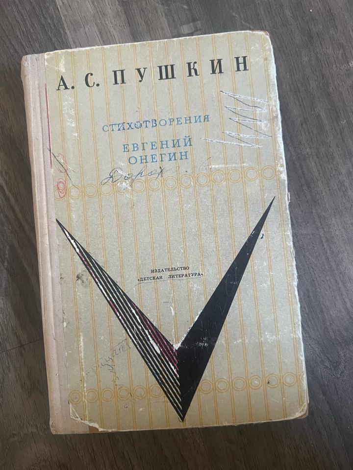 Стихотворения. Евгений Онегин