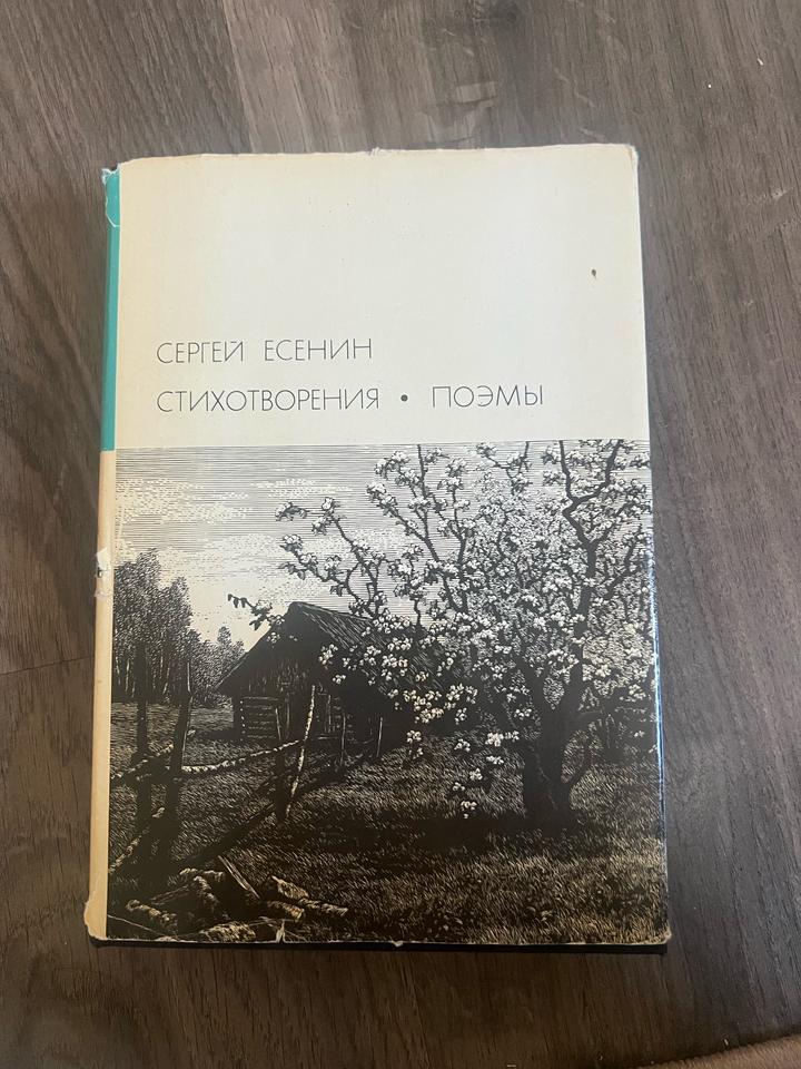 Стихотворения. Поэмы