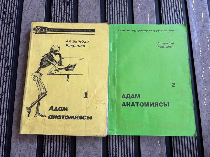 Адам анатомиясы