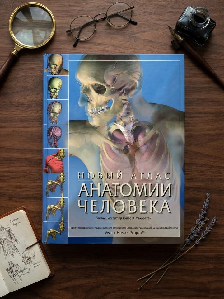 Новый атлас анатомии человека