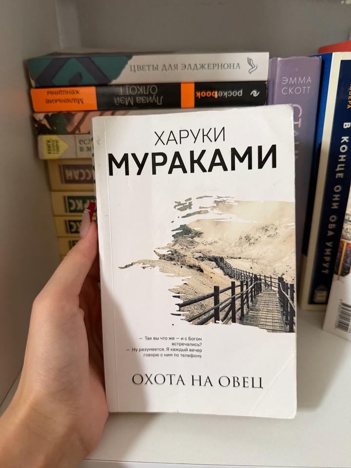 Охота на овец