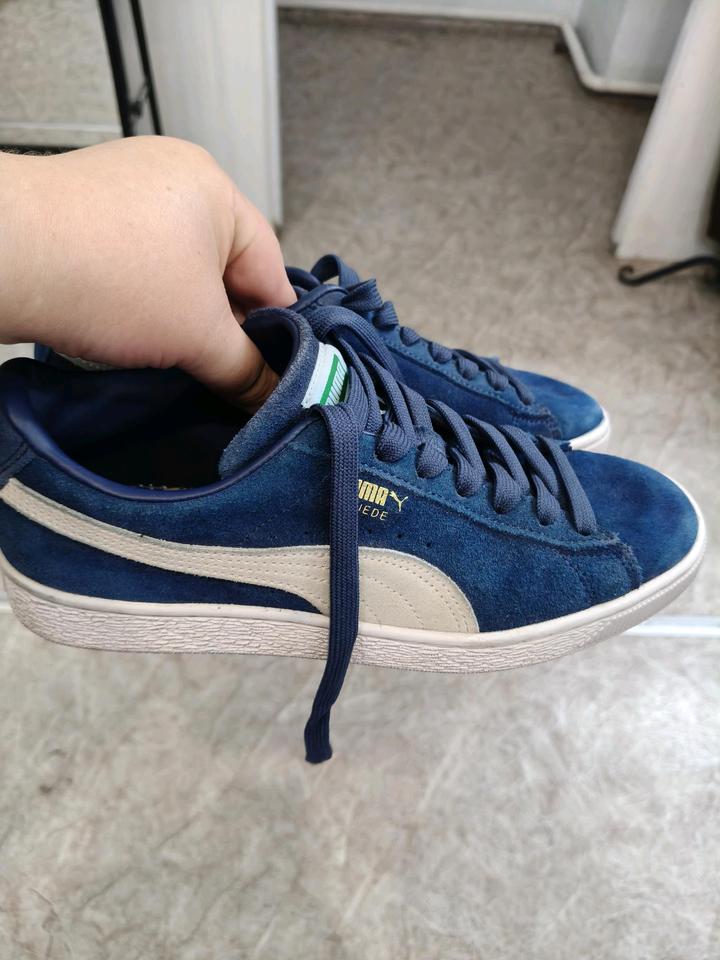 Puma