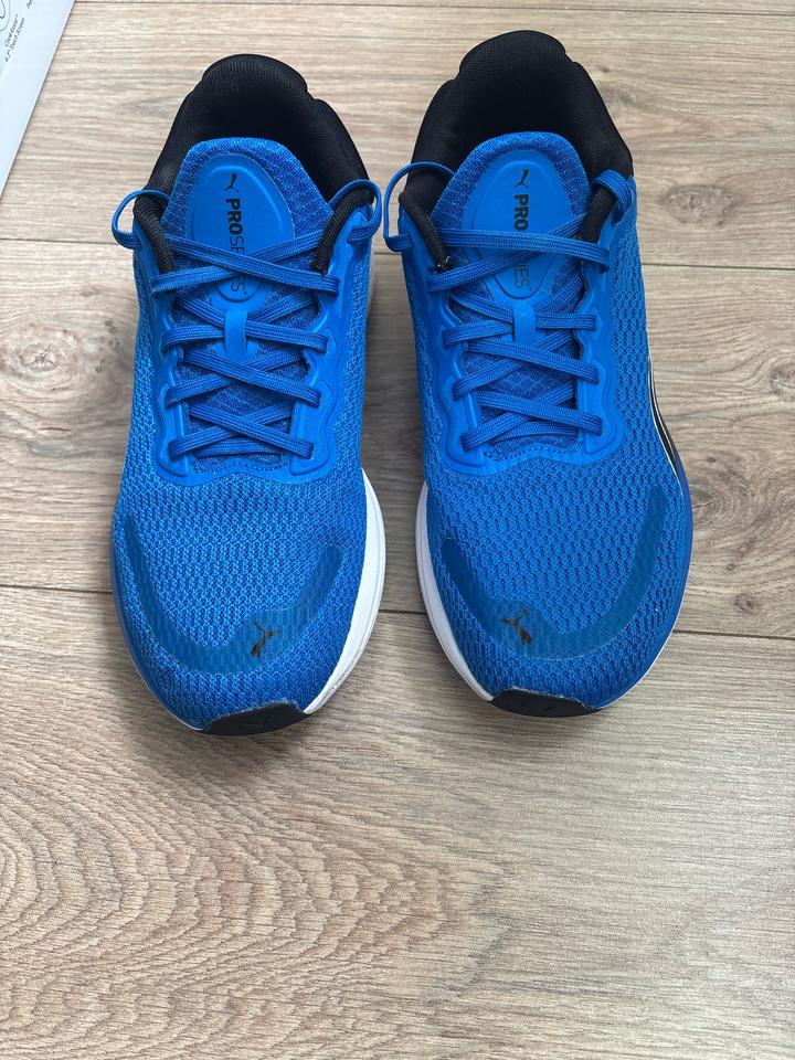Puma
