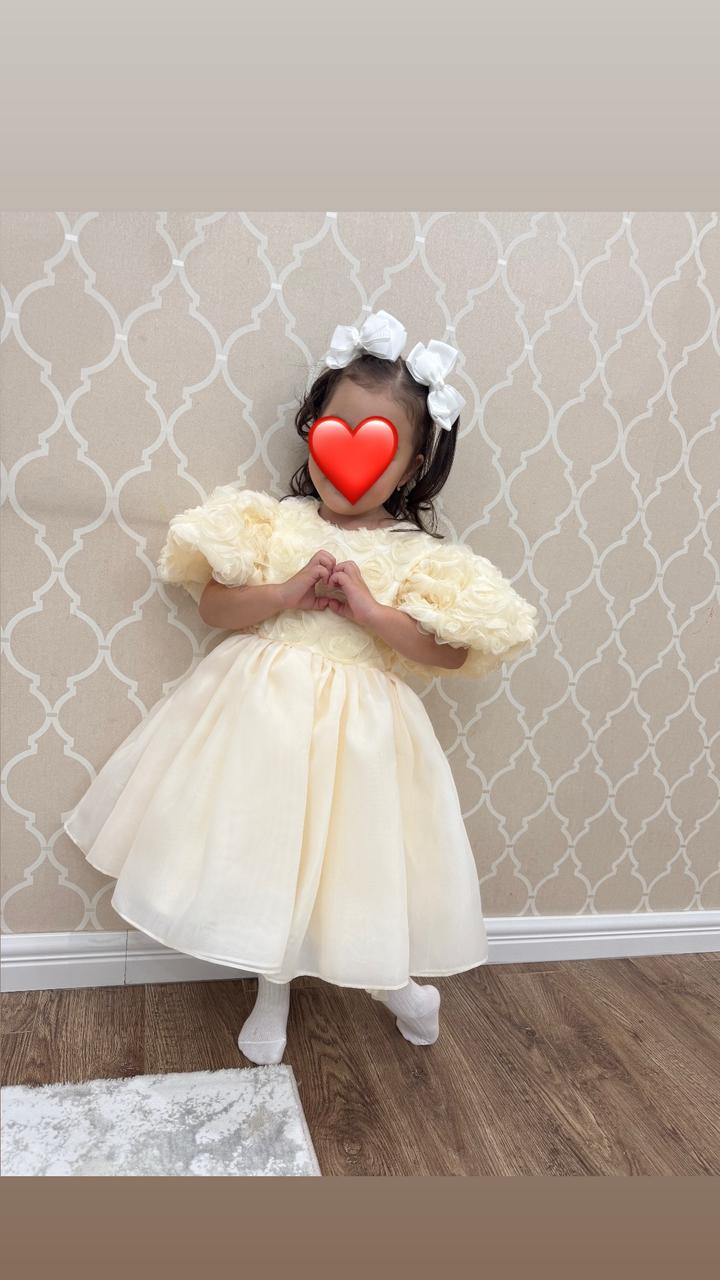 midella_kz