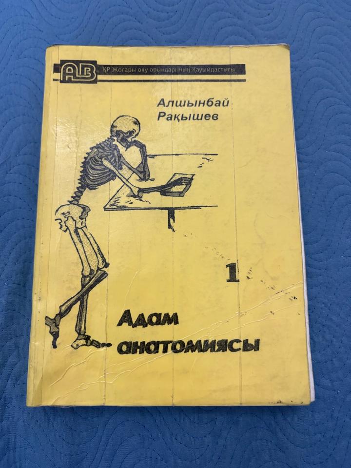 Адам анатомиясы