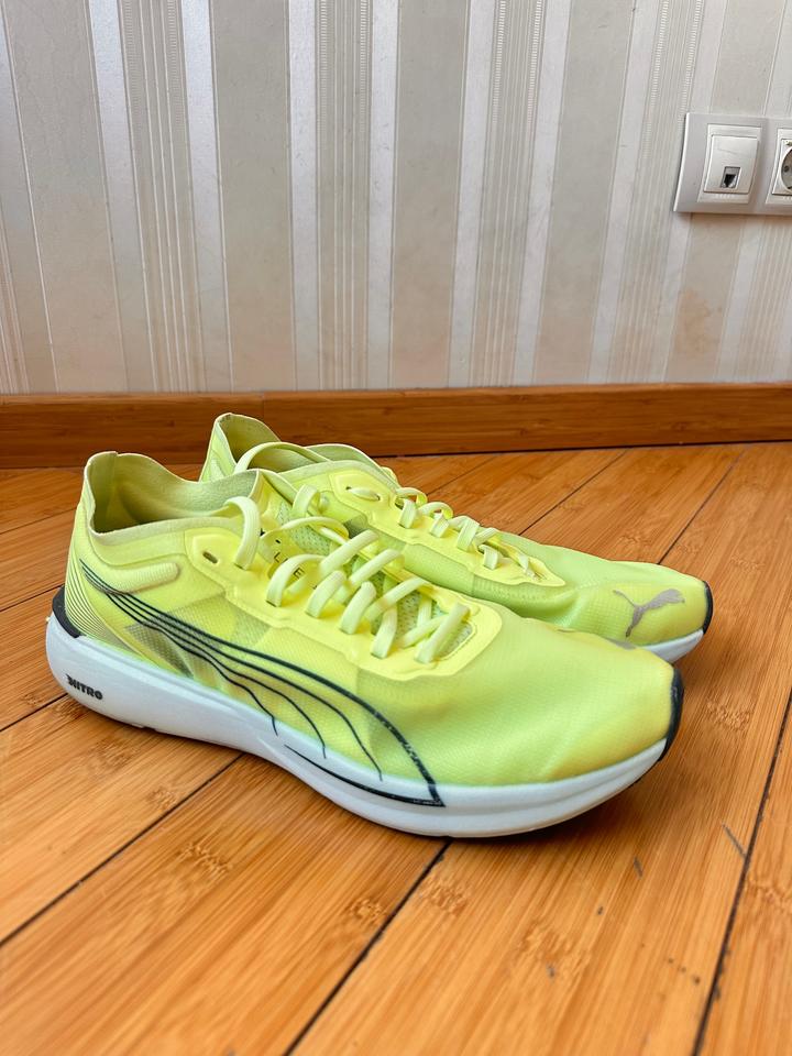 Puma