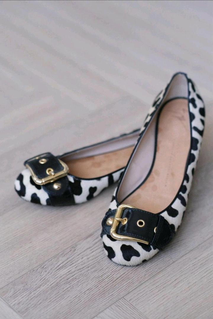 Giuseppe Zanotti