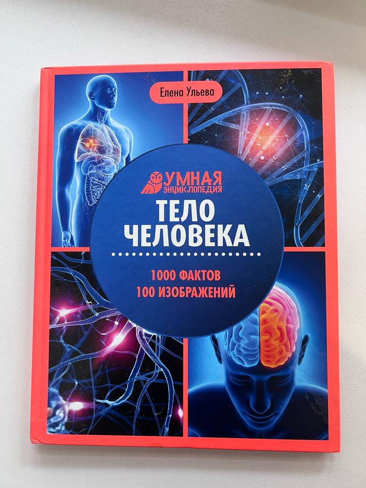 Тело человека