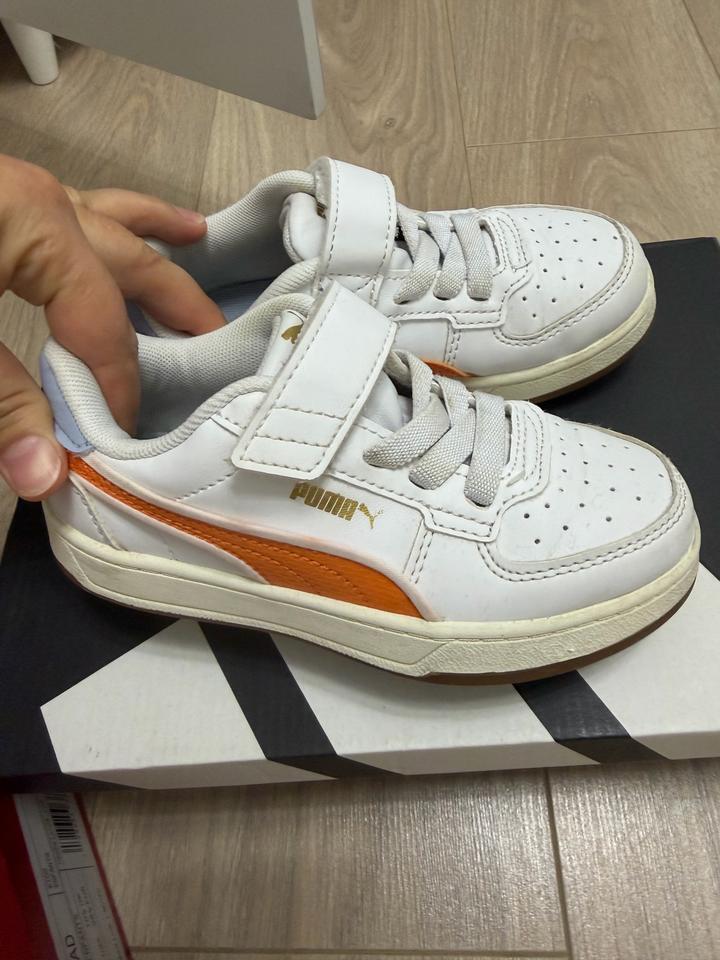 Puma