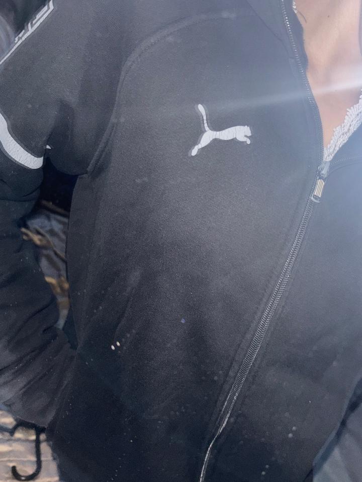 Puma