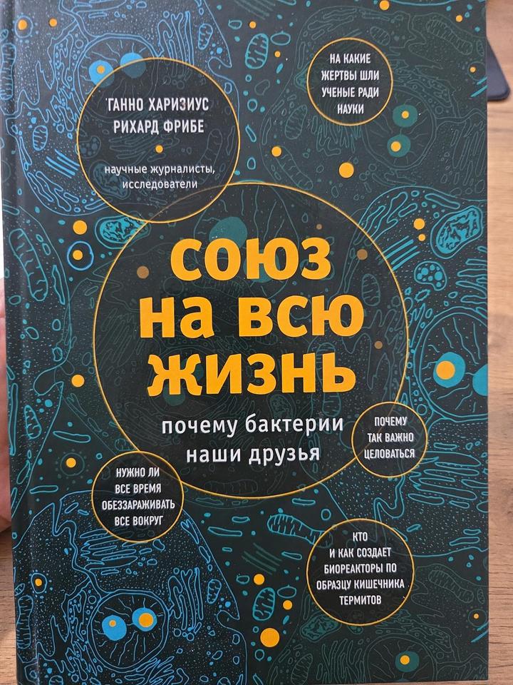 Союз на всю жизнь: почему бактерии наши друзья