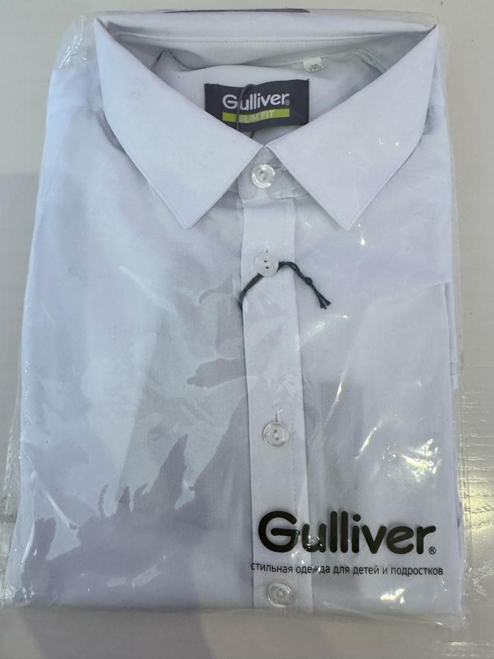 Gulliver