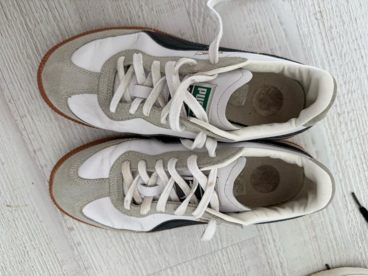 Puma