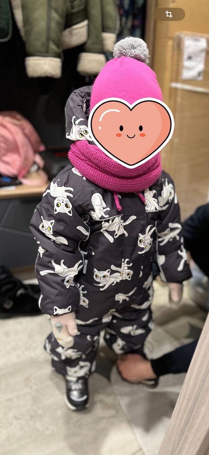 Crockid