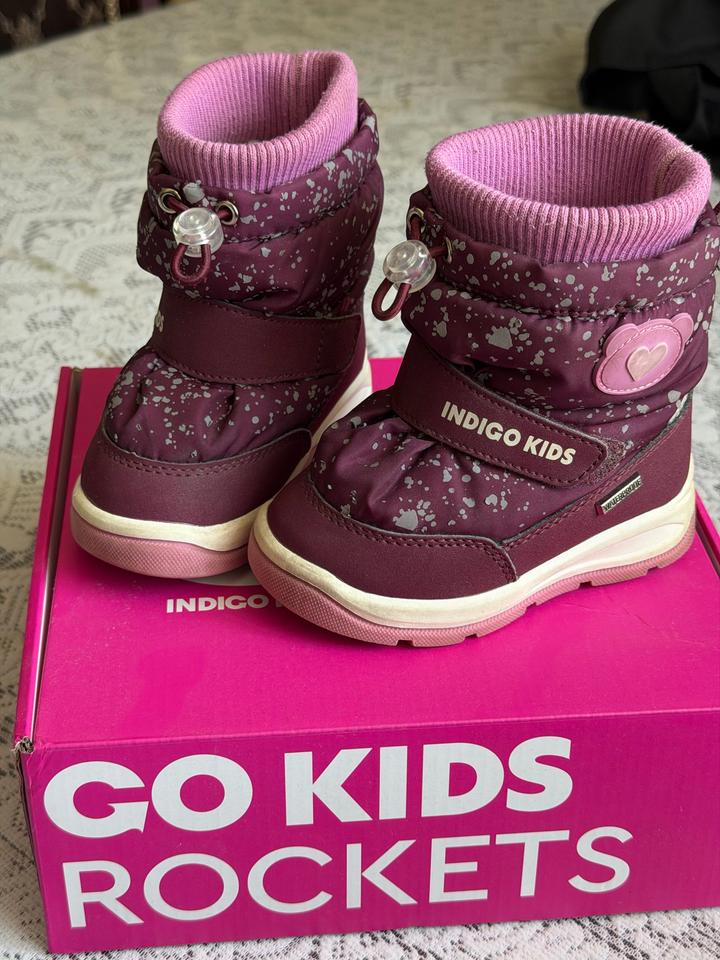 Indigo Kids