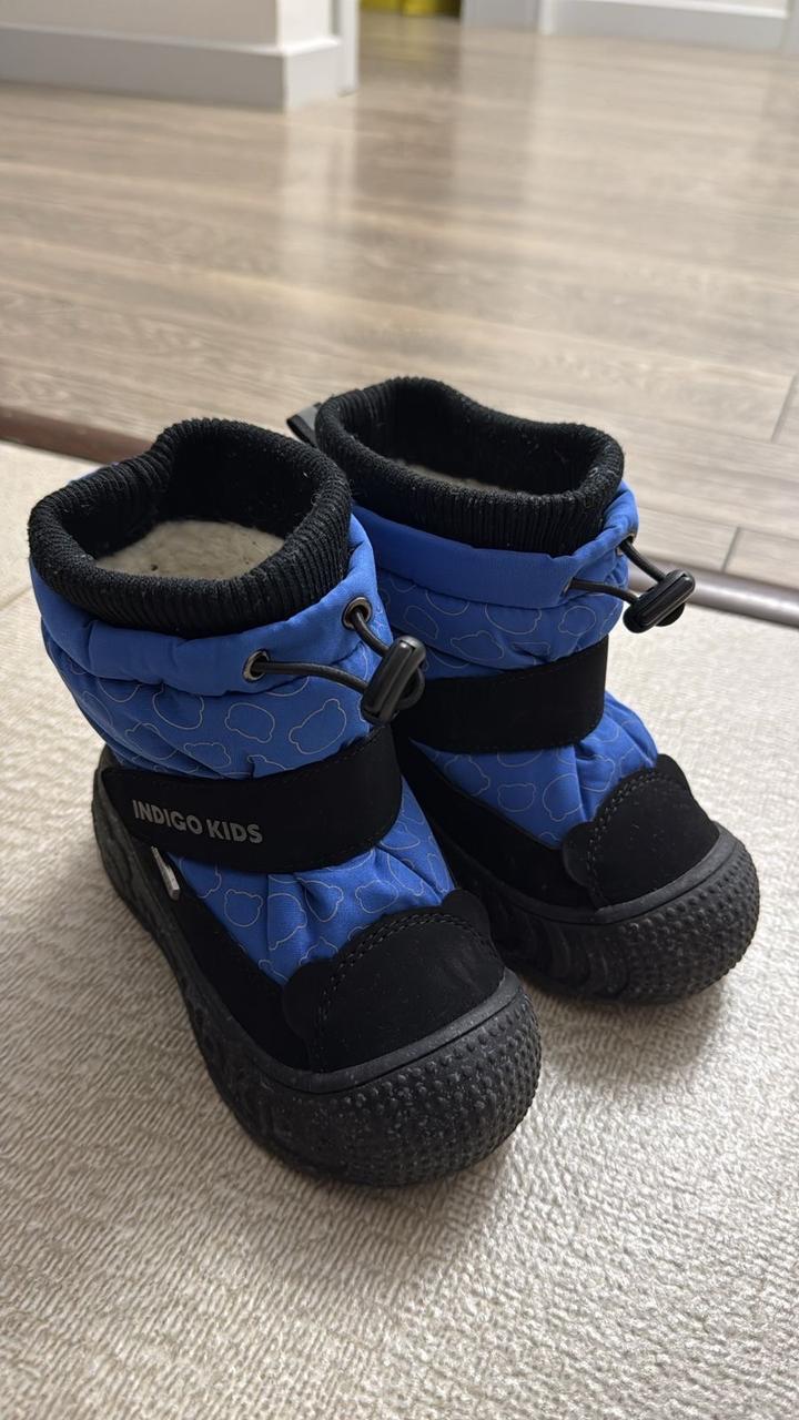 Indigo Kids
