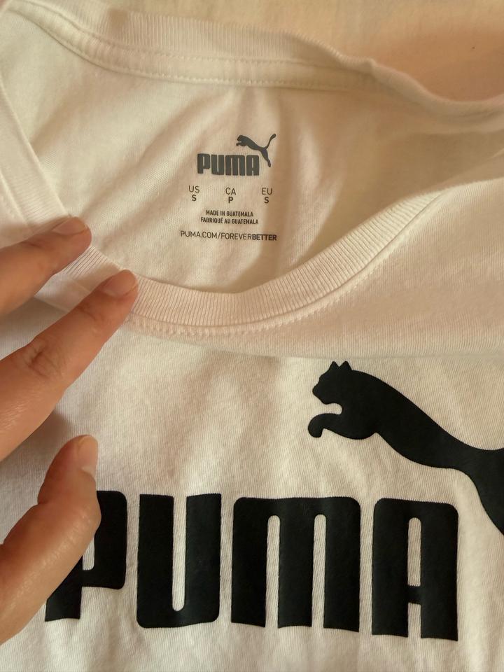 Puma
