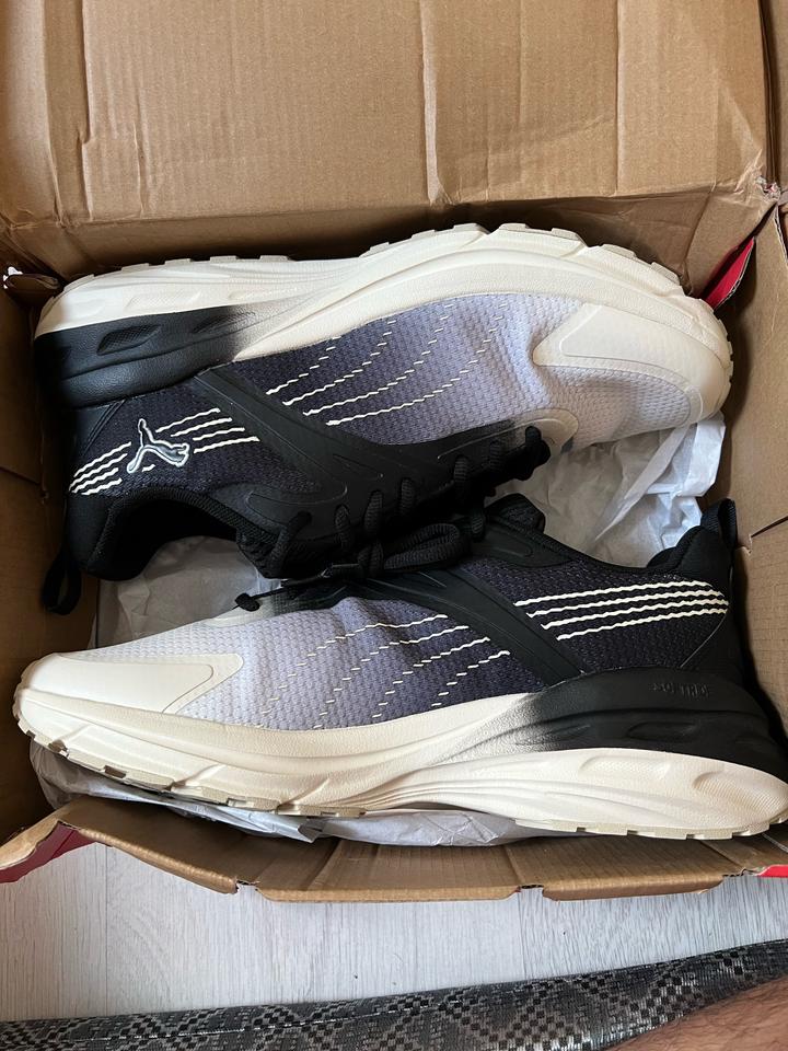 Puma