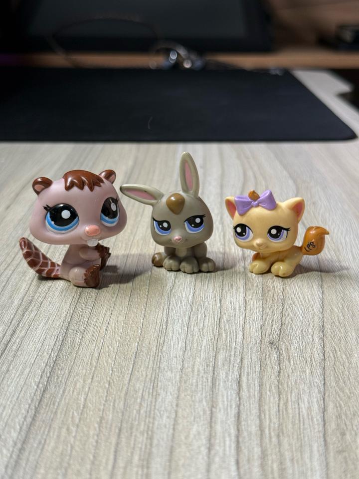 Hasbro