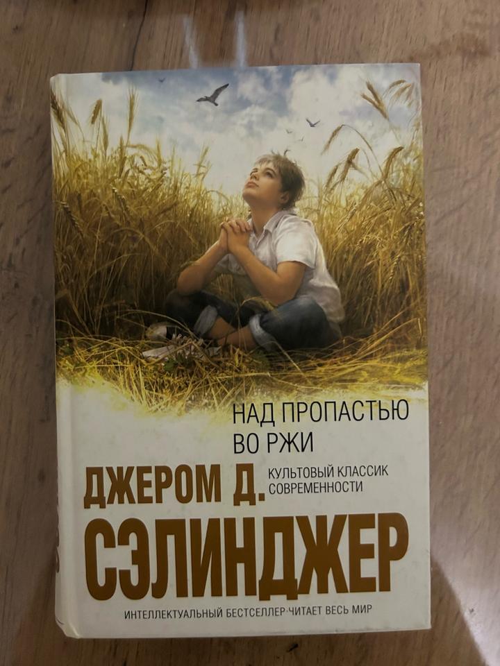 Над пропастью во ржи