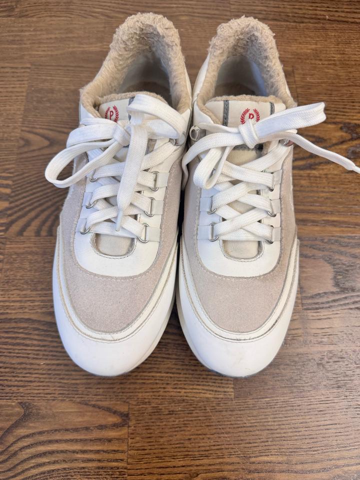 Pollini