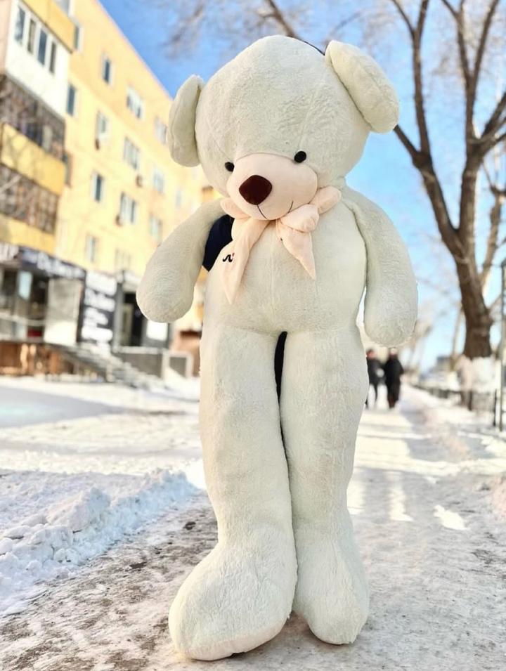 Плюшевый мишка
