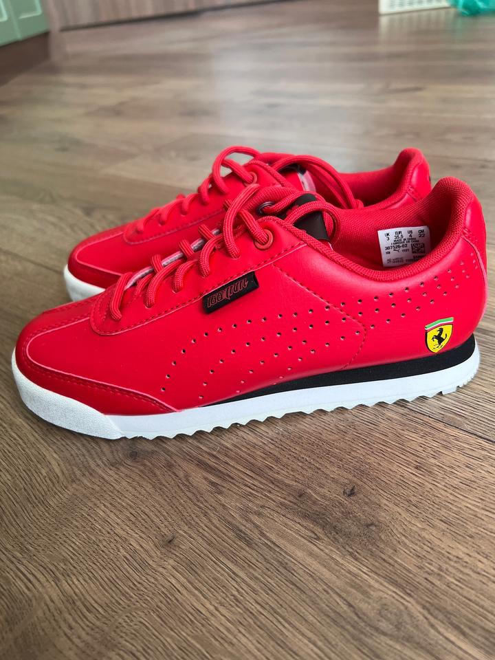 Puma