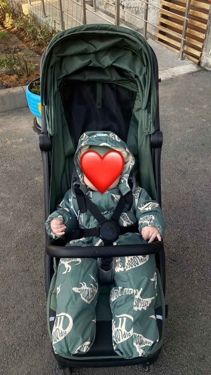 Crockid