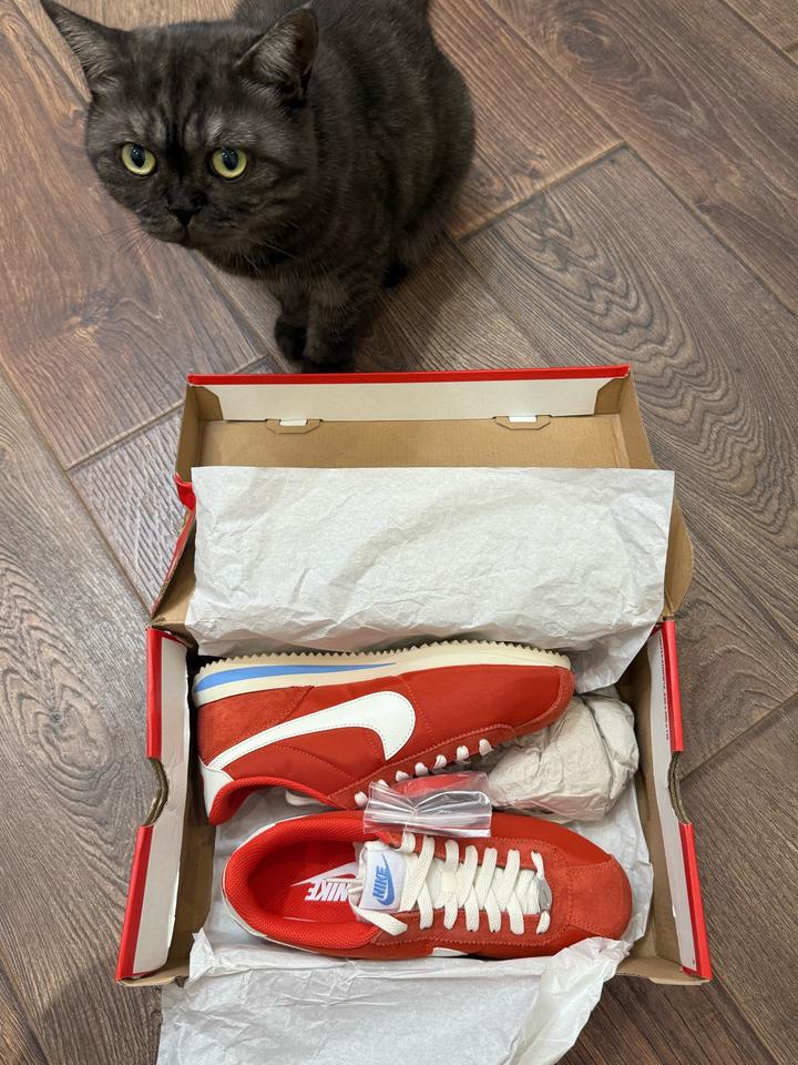 Nike
