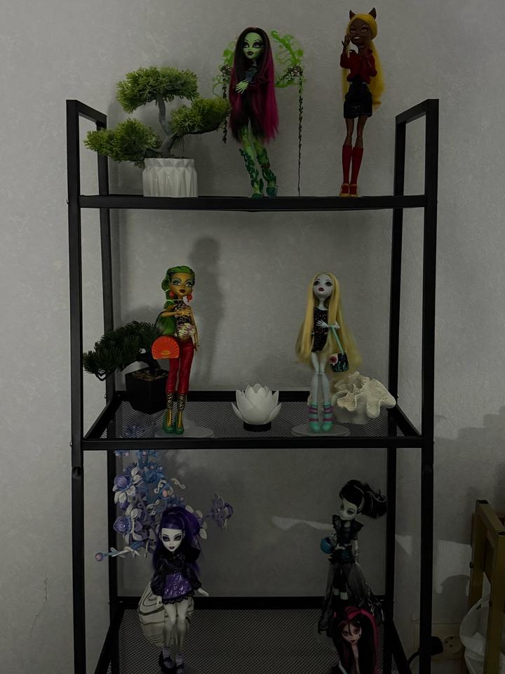 куклы Monster high