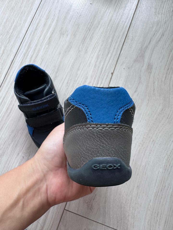 Ботинки Geox