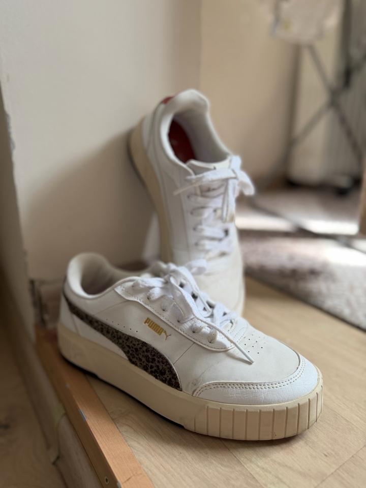 Puma