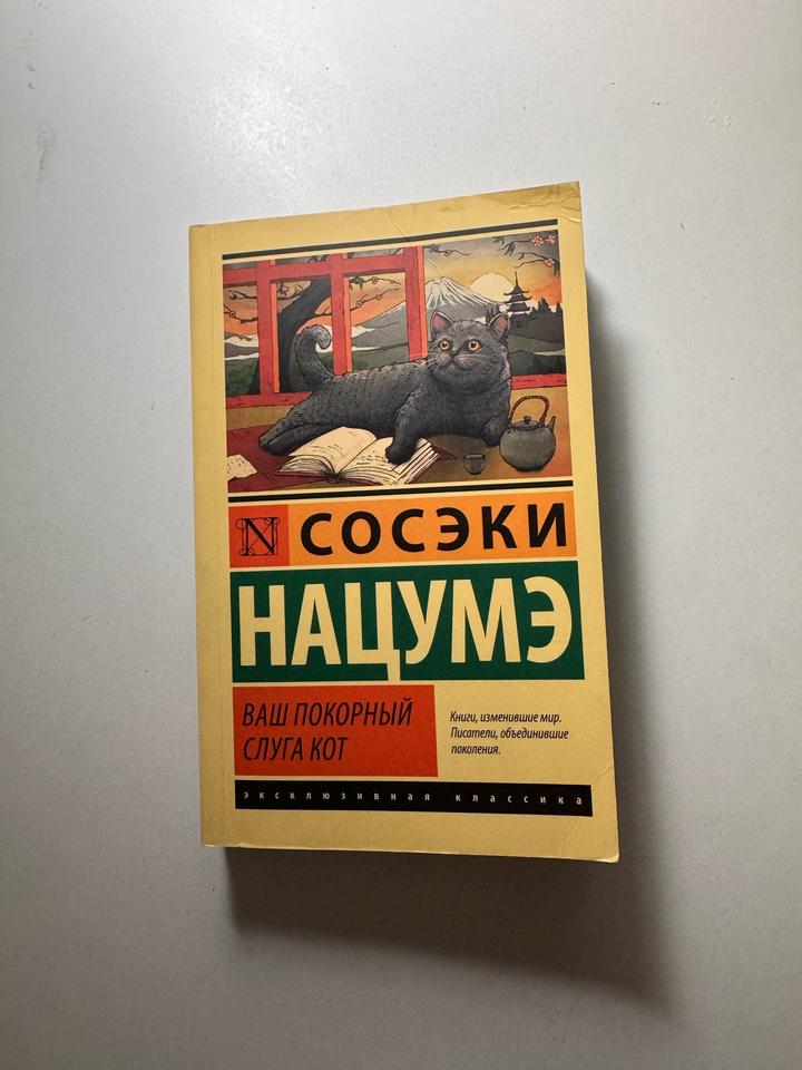 Ваш покорный слуга кот