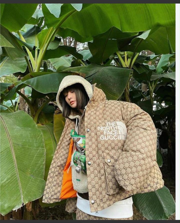 Пуховик The North Face x Gucci